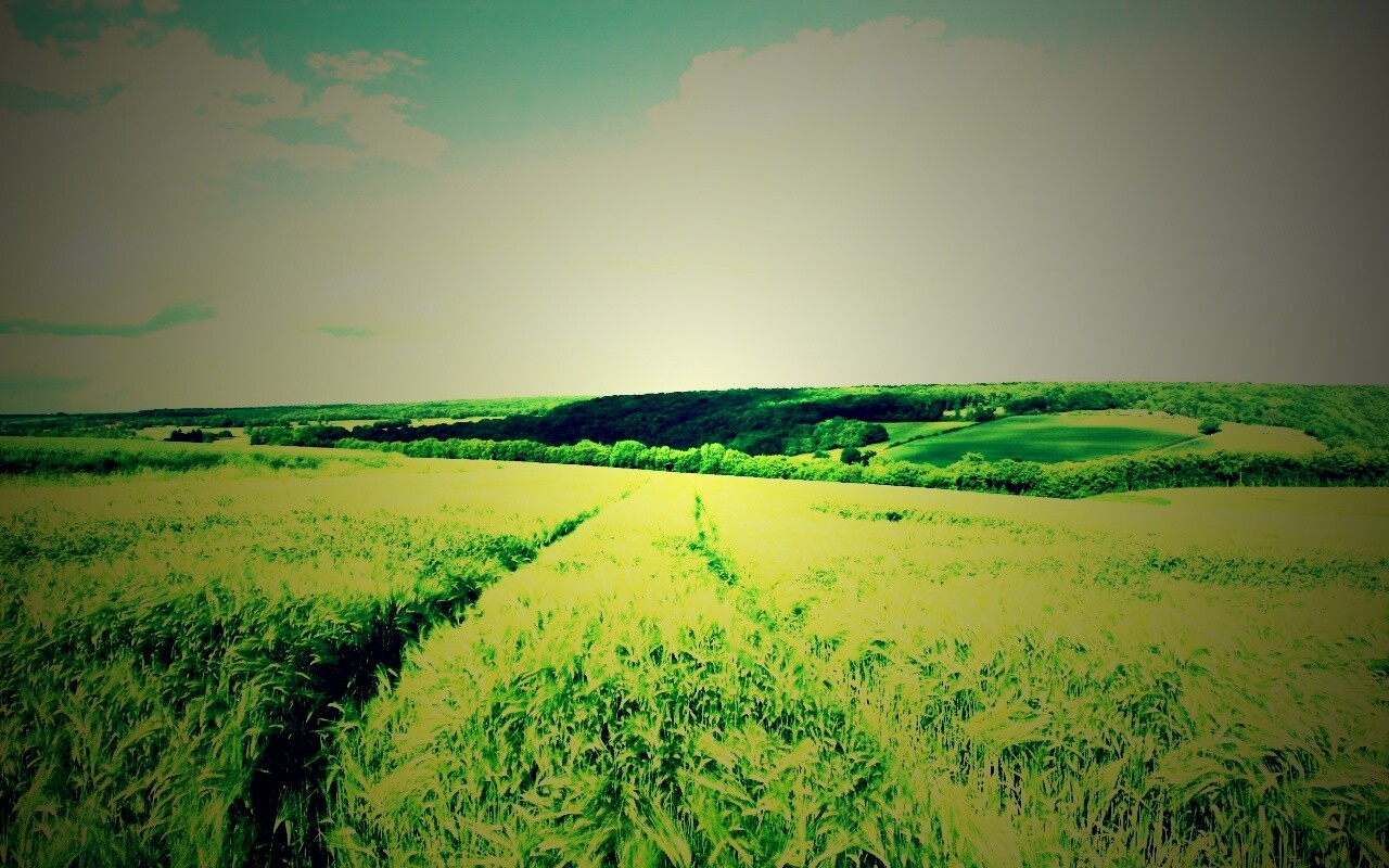 Бескрайние просторы обои