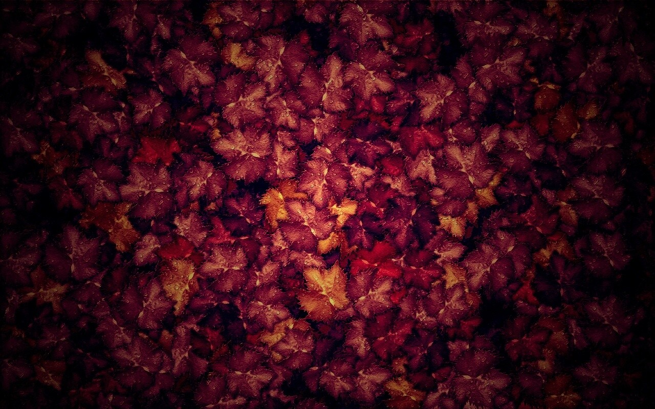 Осенние листья обои