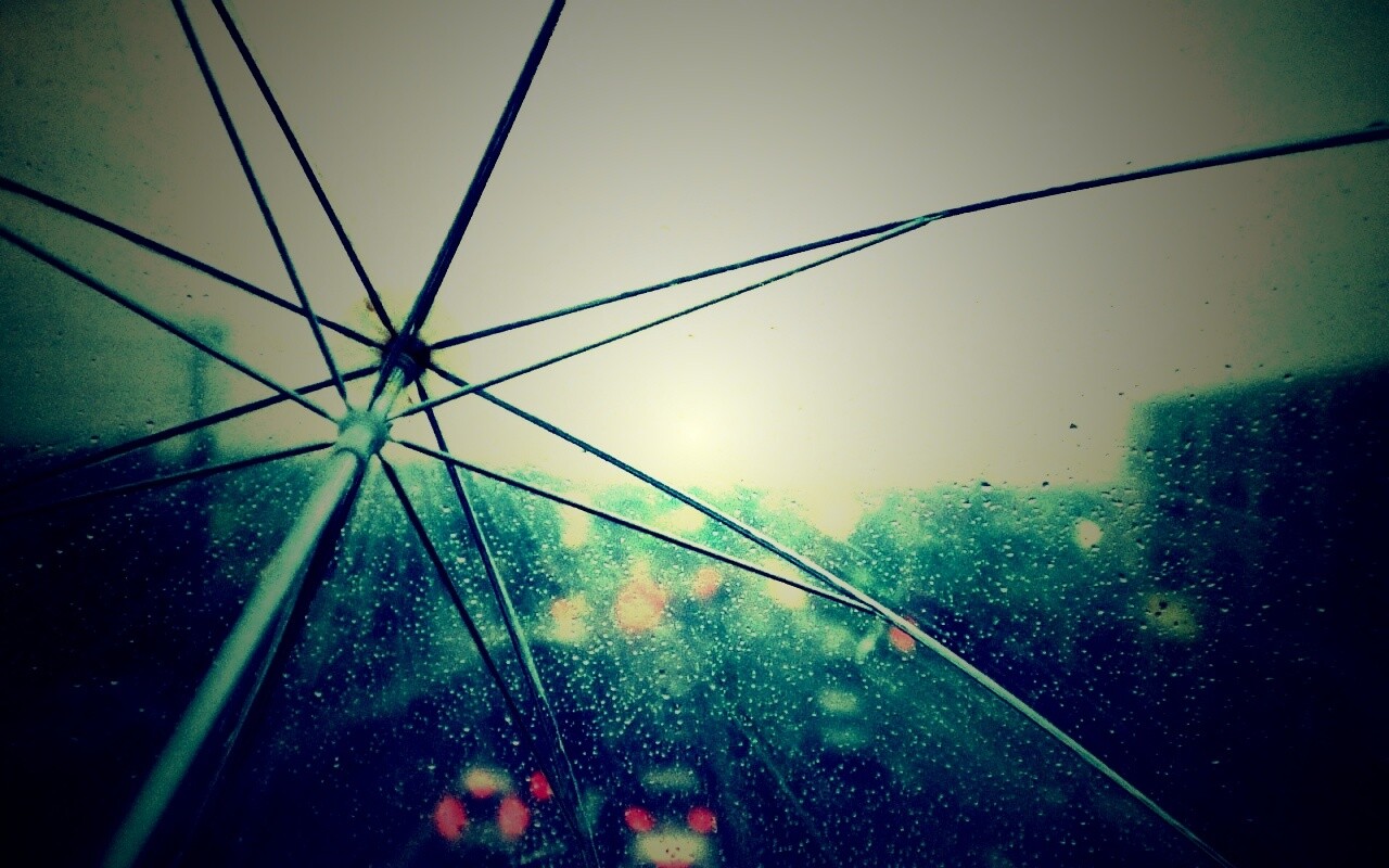 Вид сквозь прозрачный зонтик обои