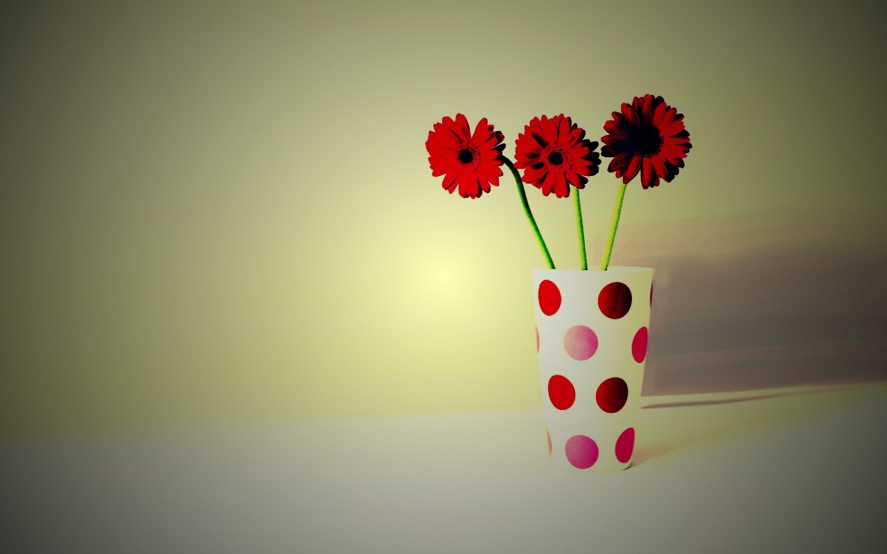 Вазочка с тремя красными герберами обои