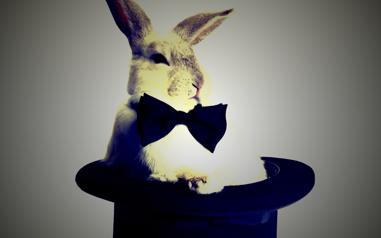 Кролик в цилиндре фокусника обои