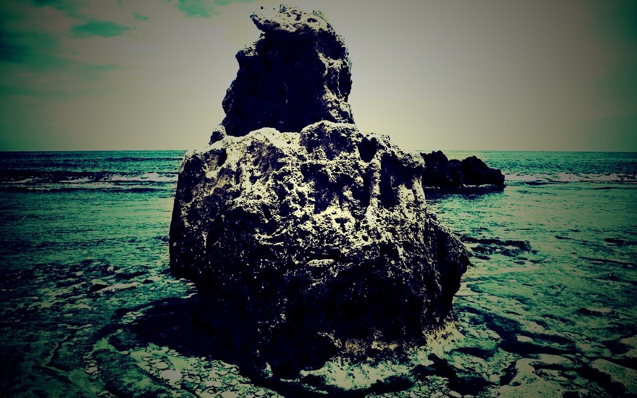 Коралловый риф обои