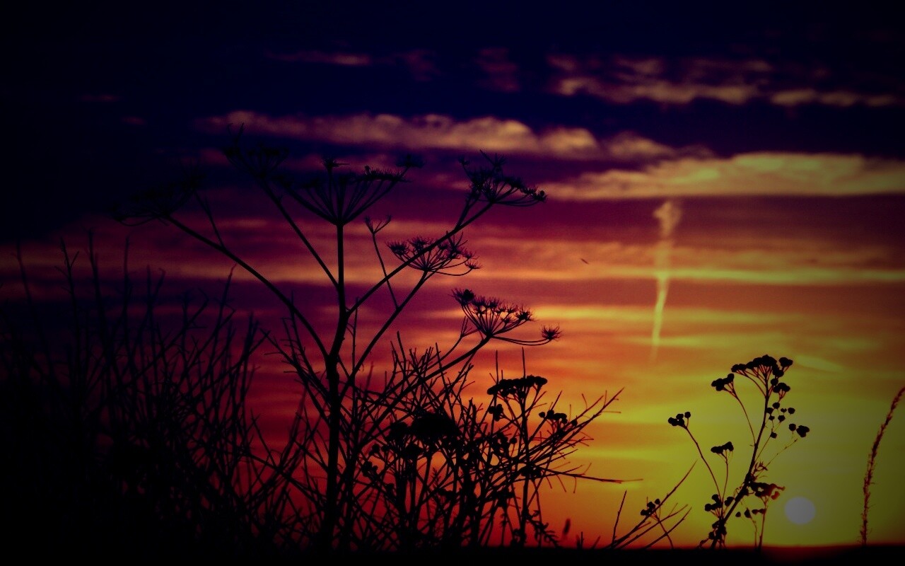 Степной закат обои