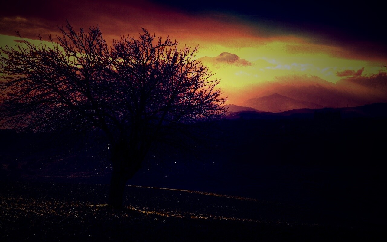 Дерево и горы обои