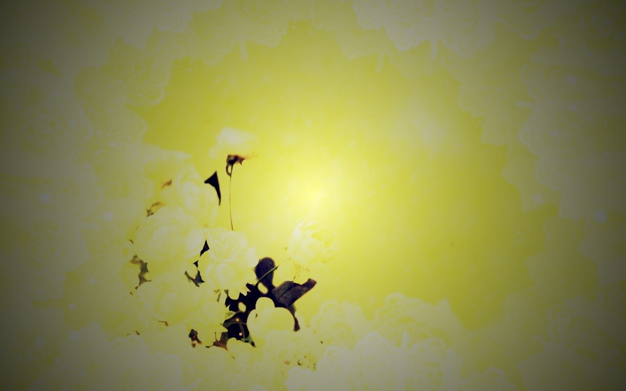 Бежевые кружева и розы обои