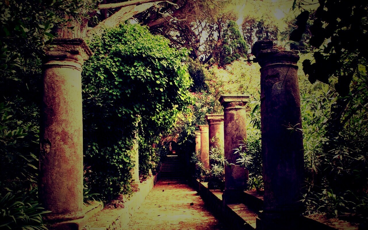 Галерея зимнего сада обои