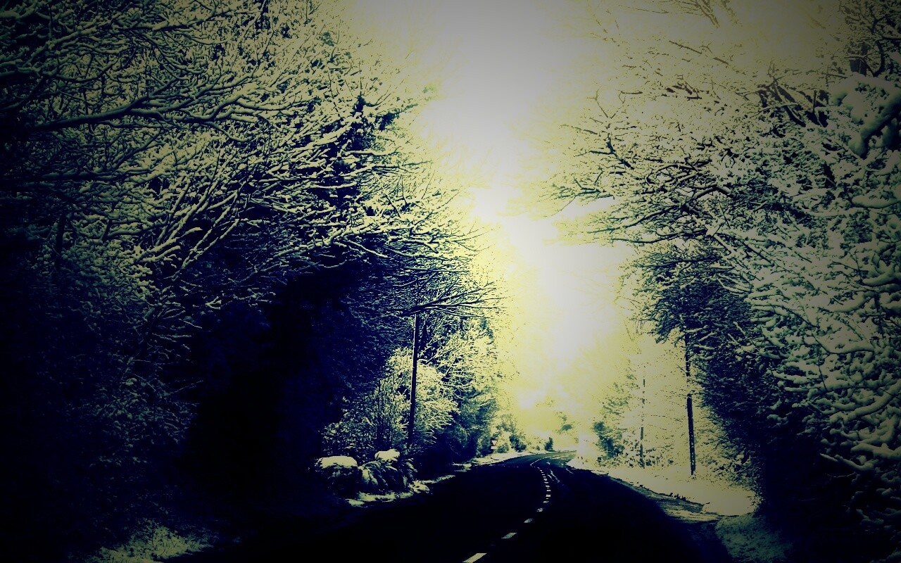 Дорога через зимний лес обои