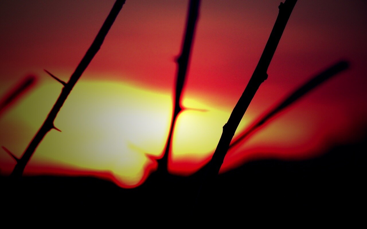 Закат солнца в поле обои