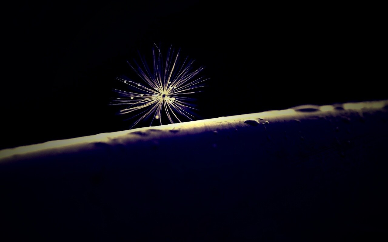 Прилипшая пушинка обои