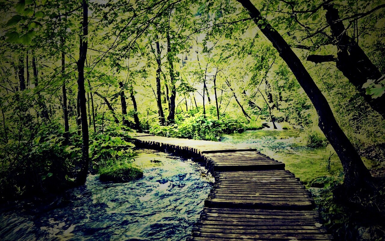 Тропинка над водой обои