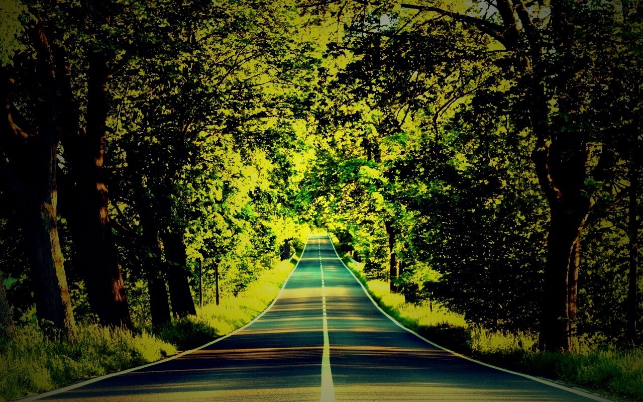 Под горку и в лес обои