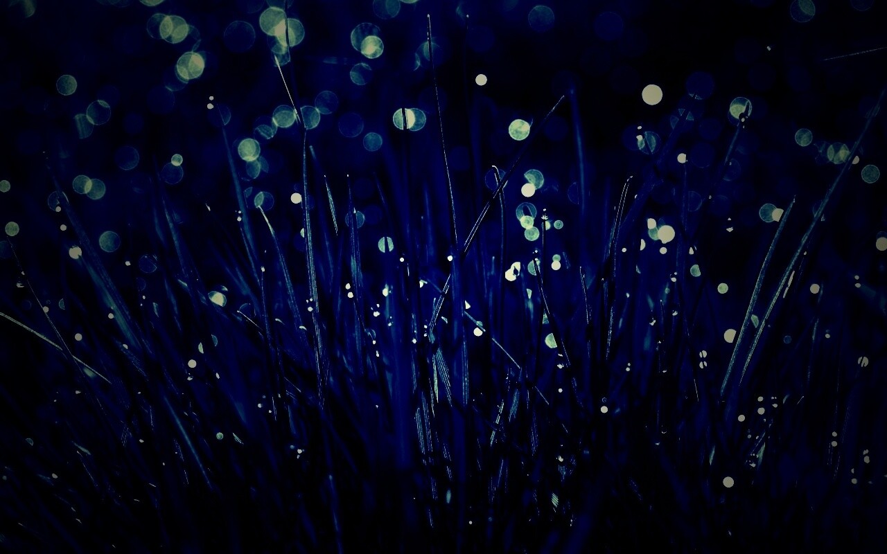 Трава ночью обои