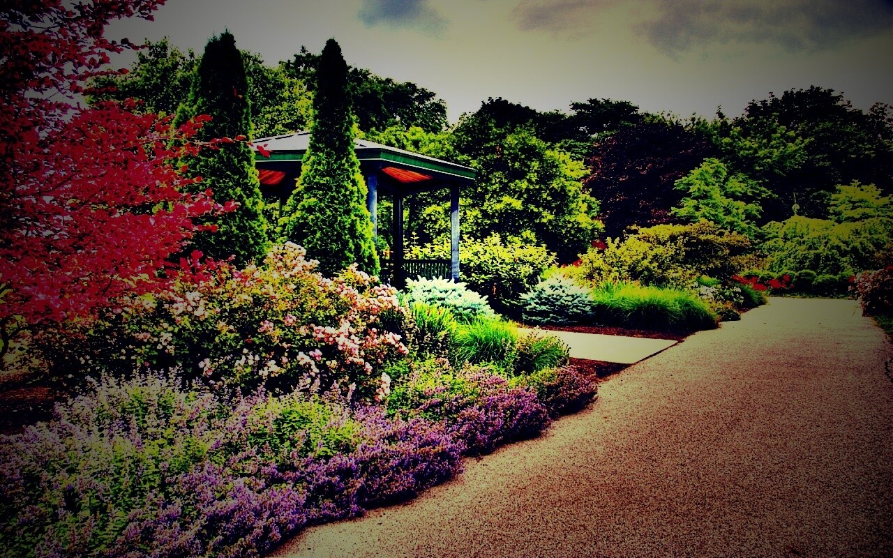 Ландшафтный дизайн обои