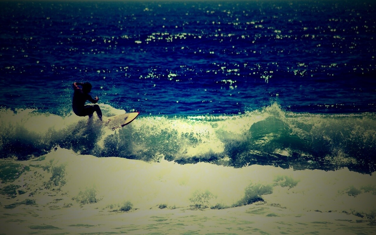 Сёрфенгист поймал волну обои