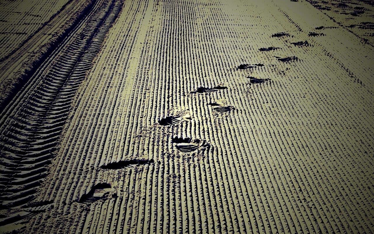 Следы на песке обои