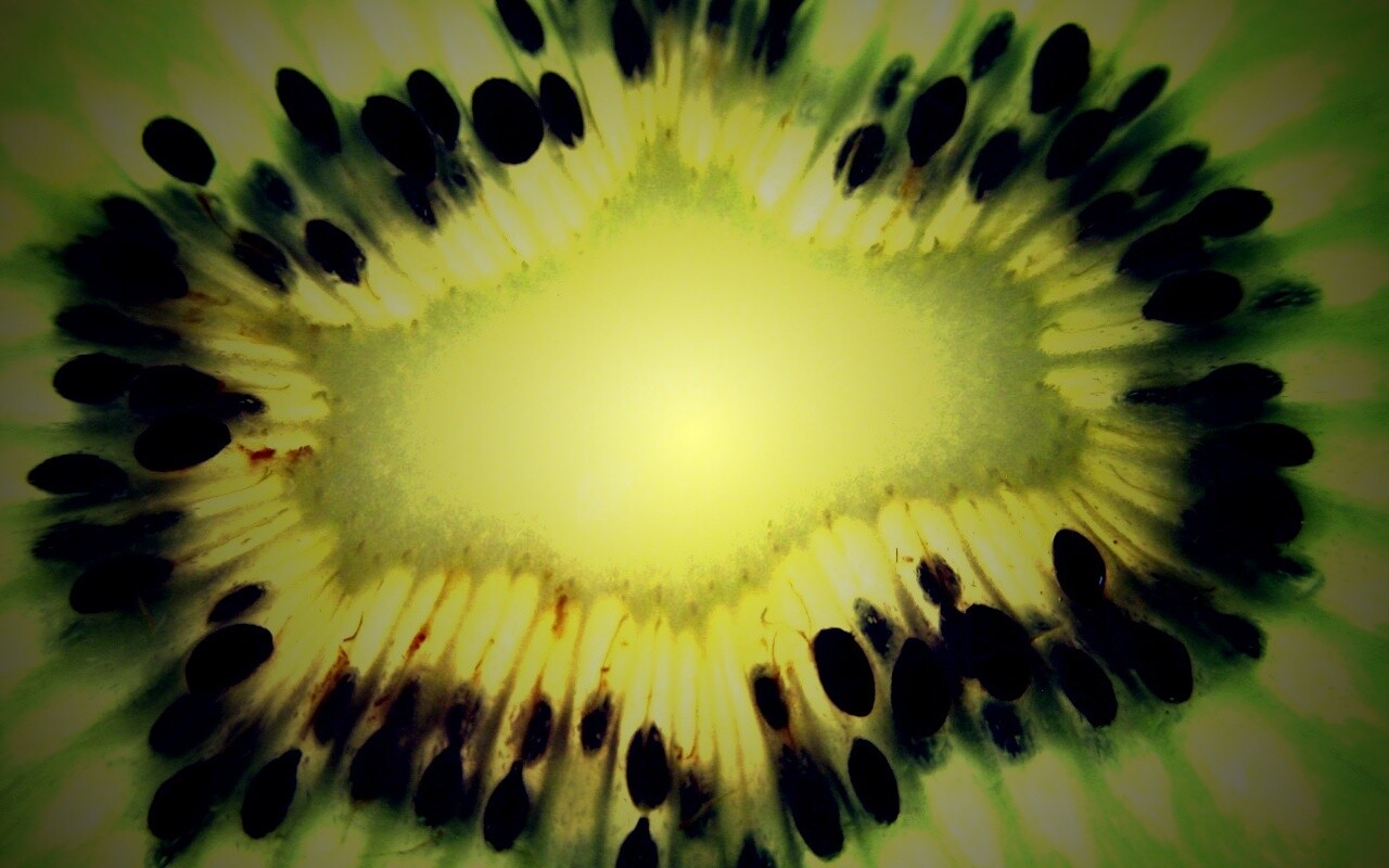 Макро фото киви в разрезе обои