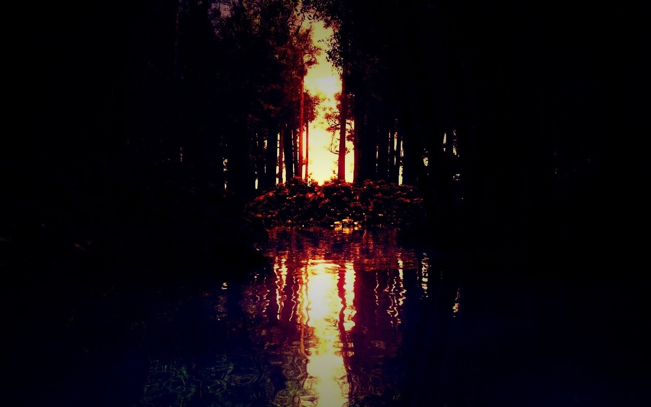 Болото в лесу обои