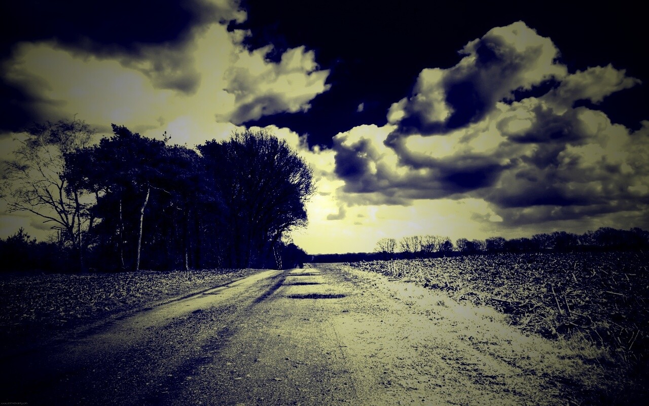 Дорога через поле обои