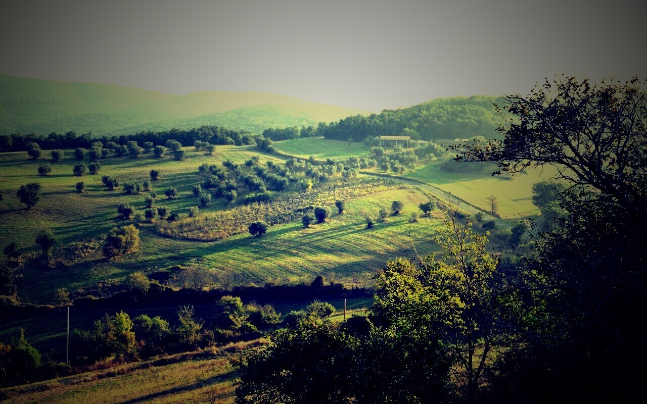 Ферма в долине обои
