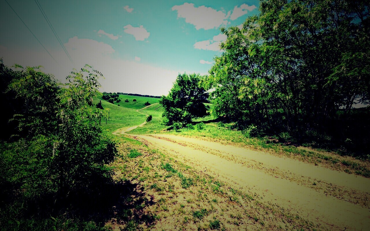 Просёлочная дорога обои