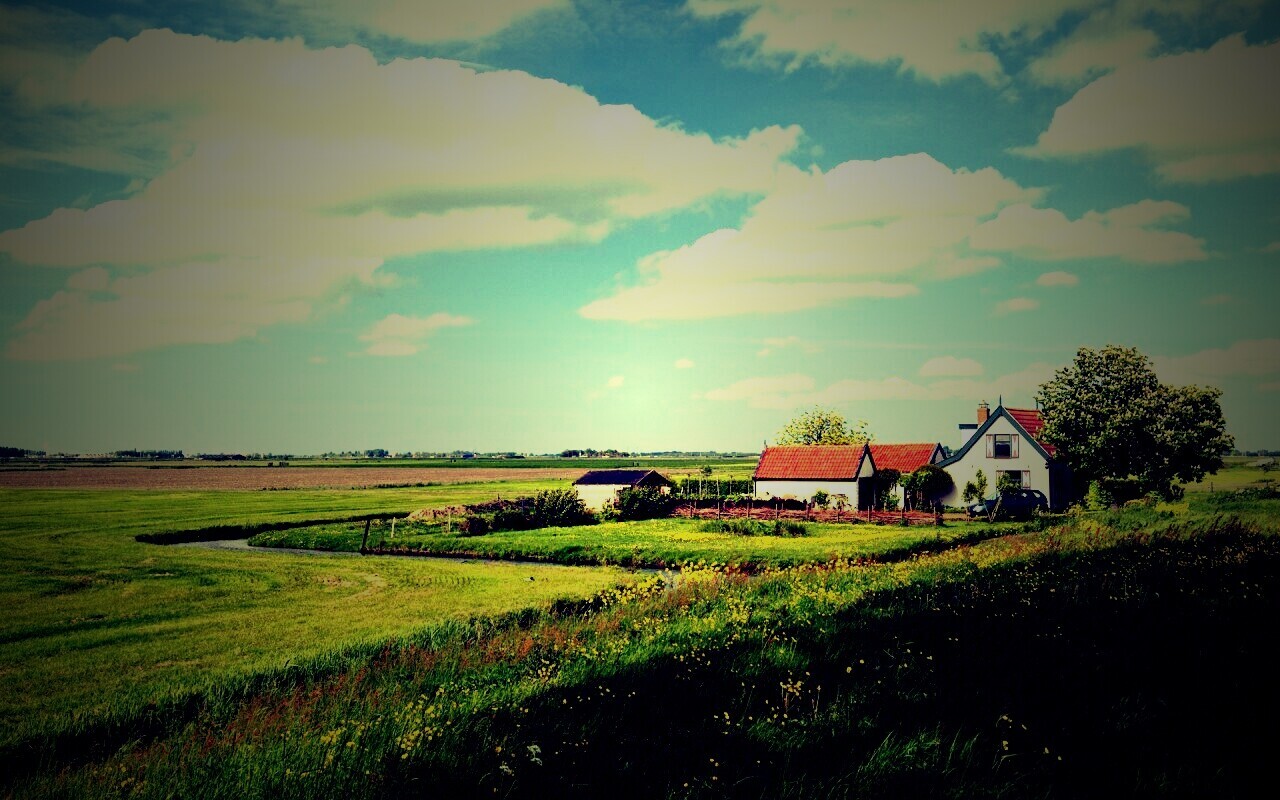 дом на лугу обои