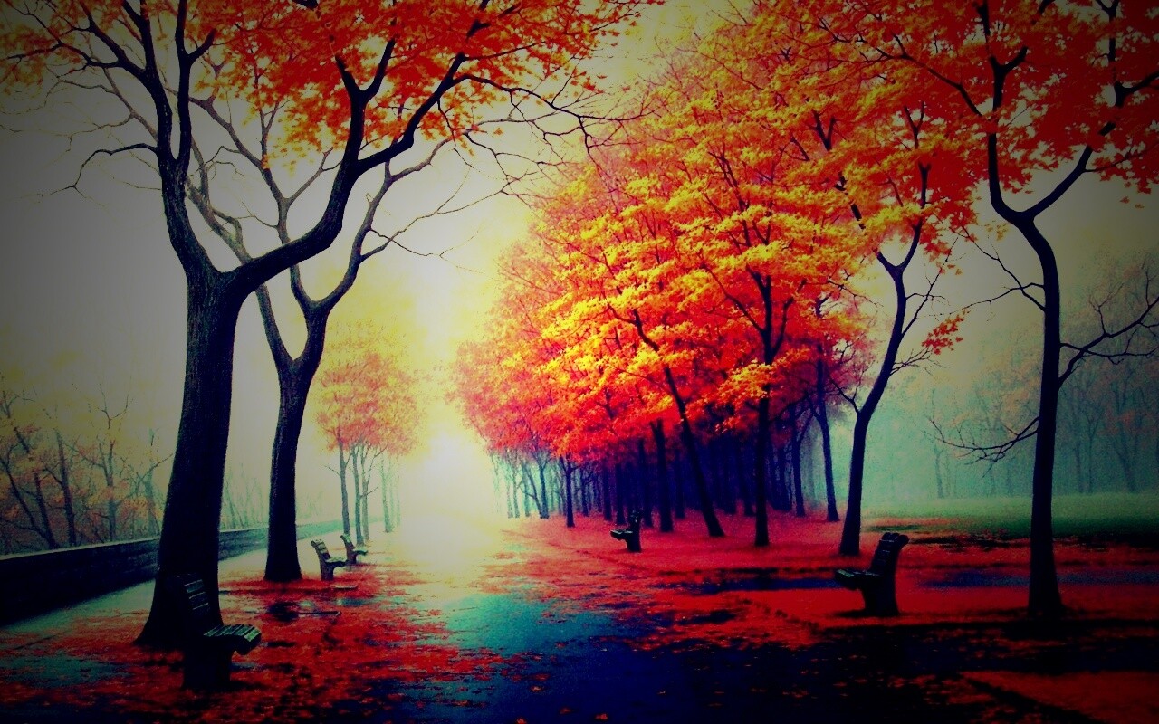 Дорога в осень обои