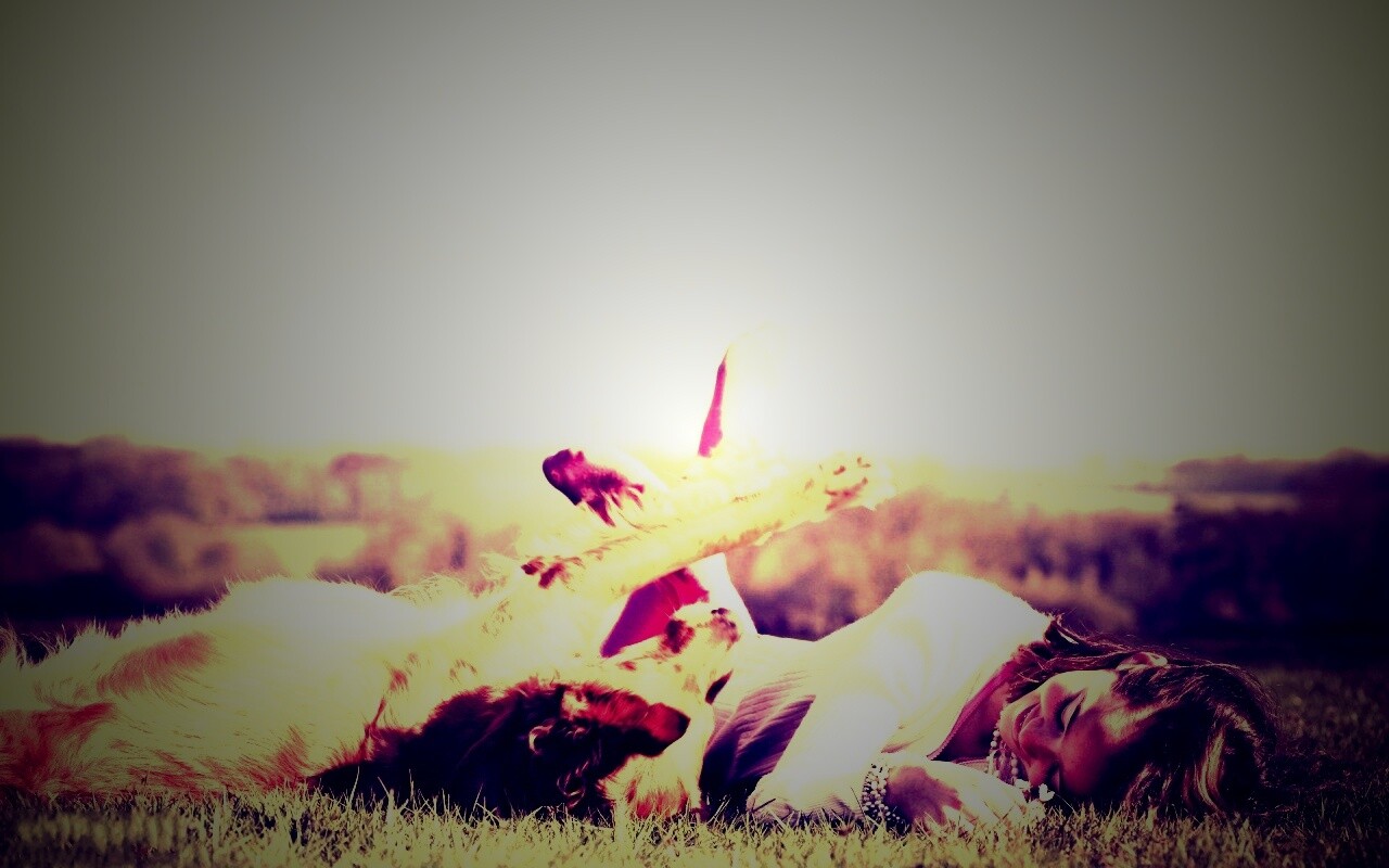 Девушка и собака валяются на траве обои