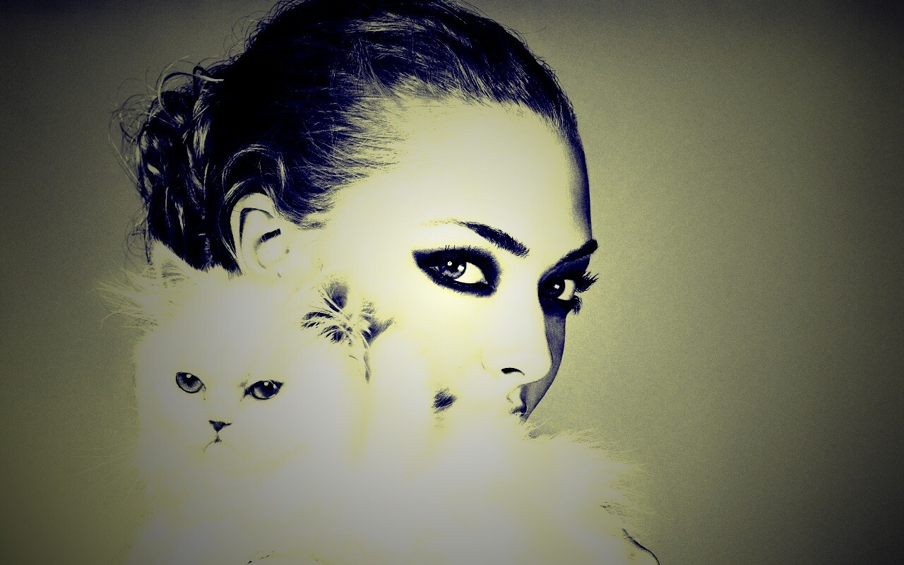 Девушка с кошкой обои