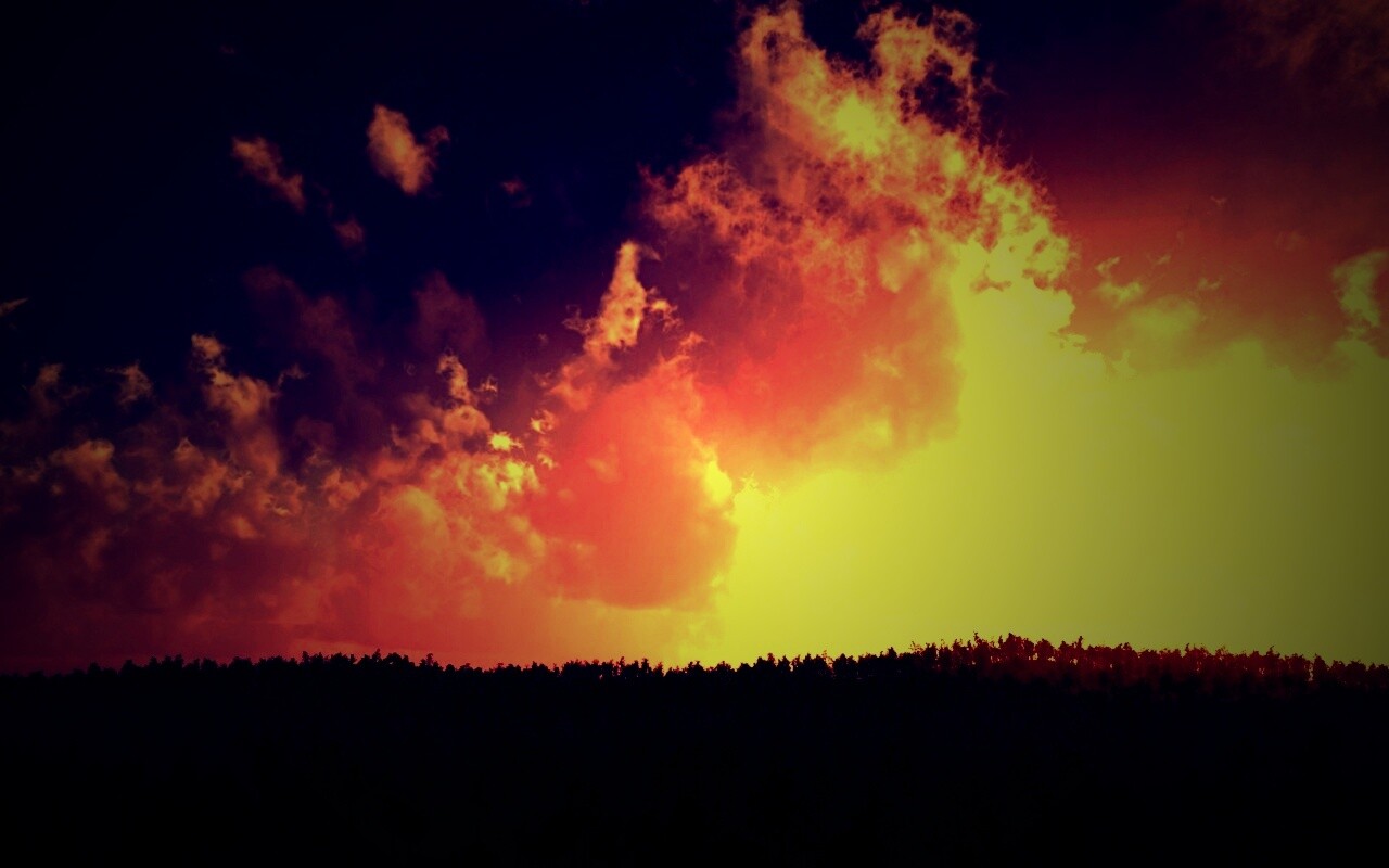 Закат над лесом обои