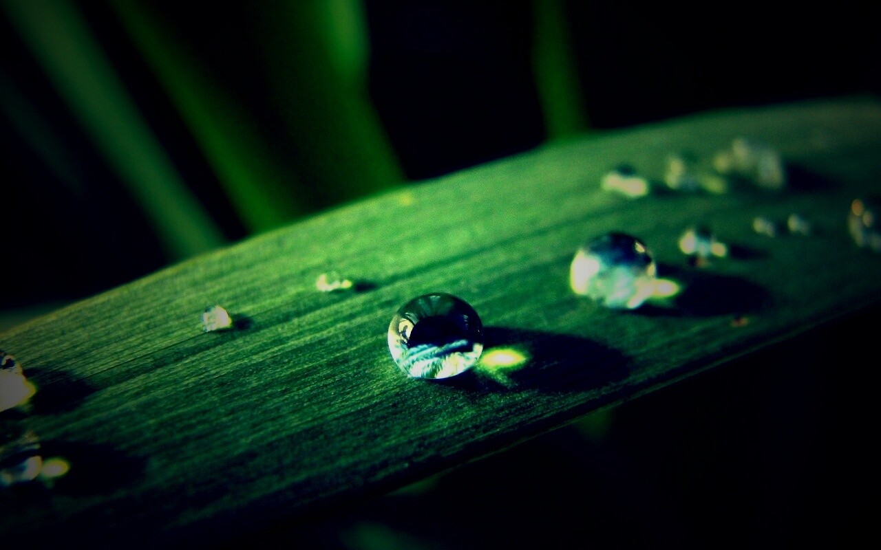 Капли росы на листе обои