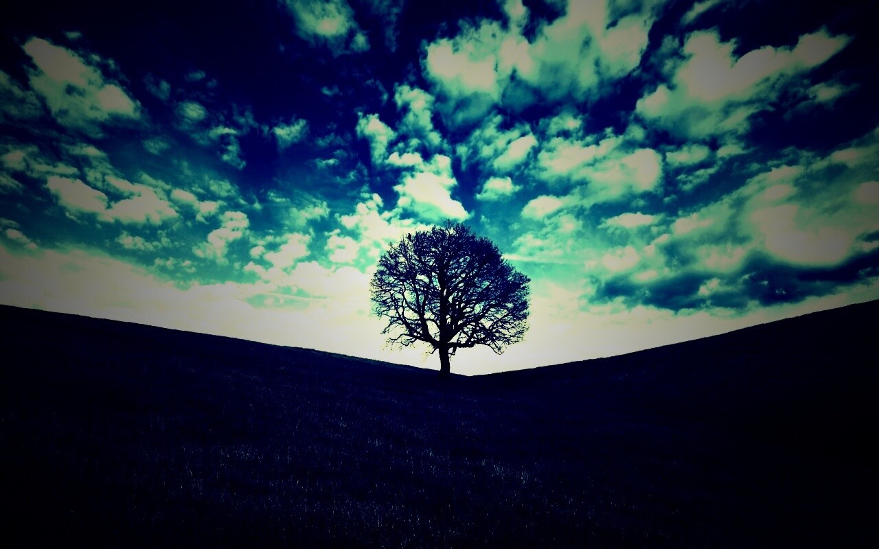 Холм одинокого дуба обои