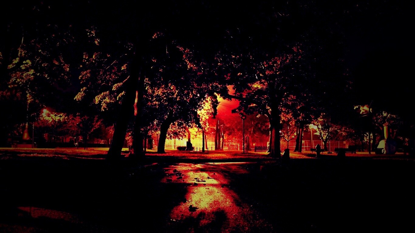 Ночной парк обои