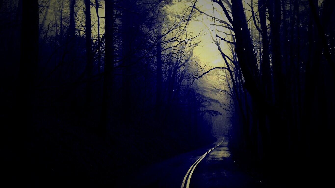 В туман обои