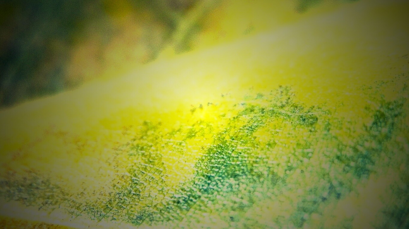 Повехность листа обои