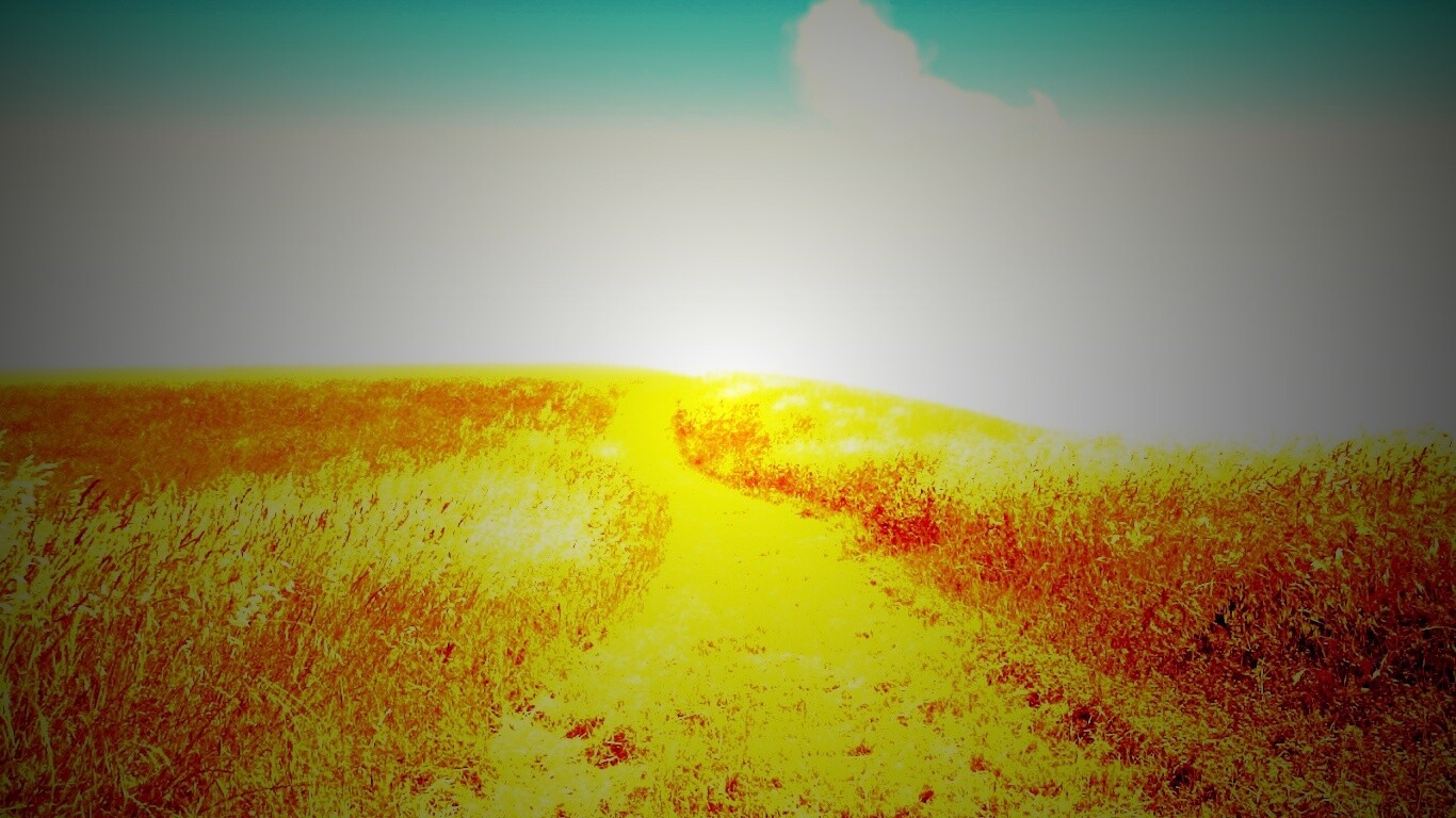 Золоте поле обои