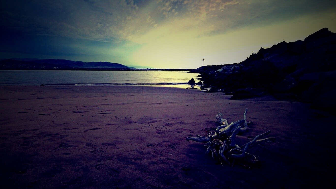 Коряга не берегу обои