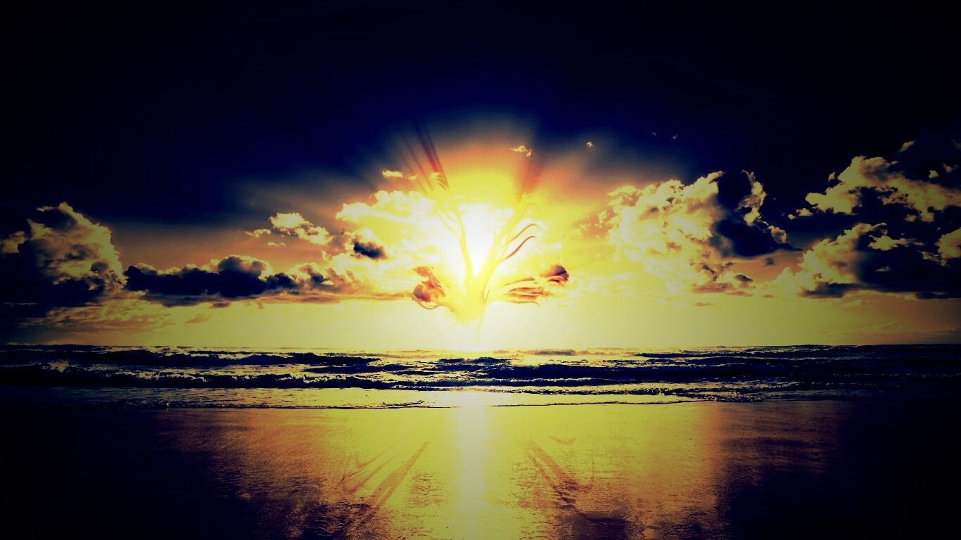 Абстрактные перья на фоне заката обои