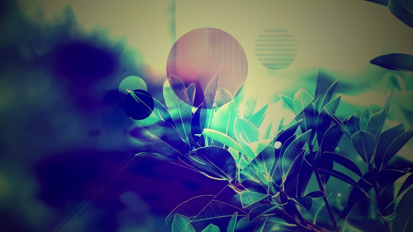 Синий фильтр с кргуами на фото листьев обои