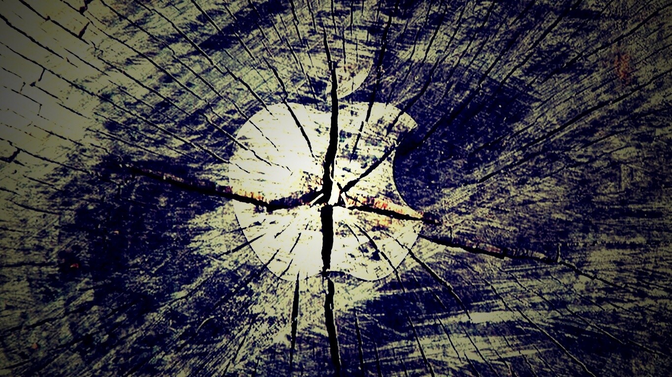 Логотип Apple на бревне обои