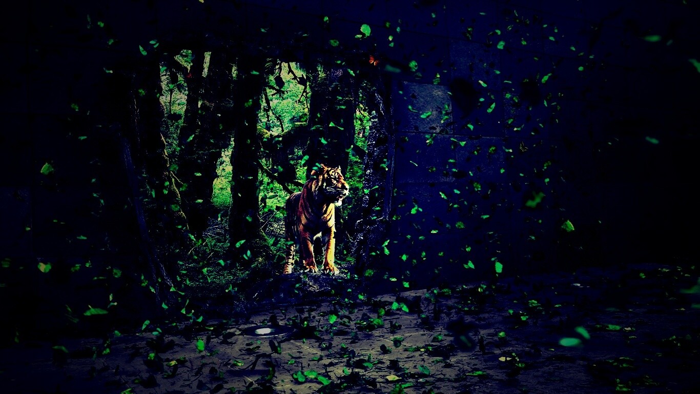 Портал в джунги обои