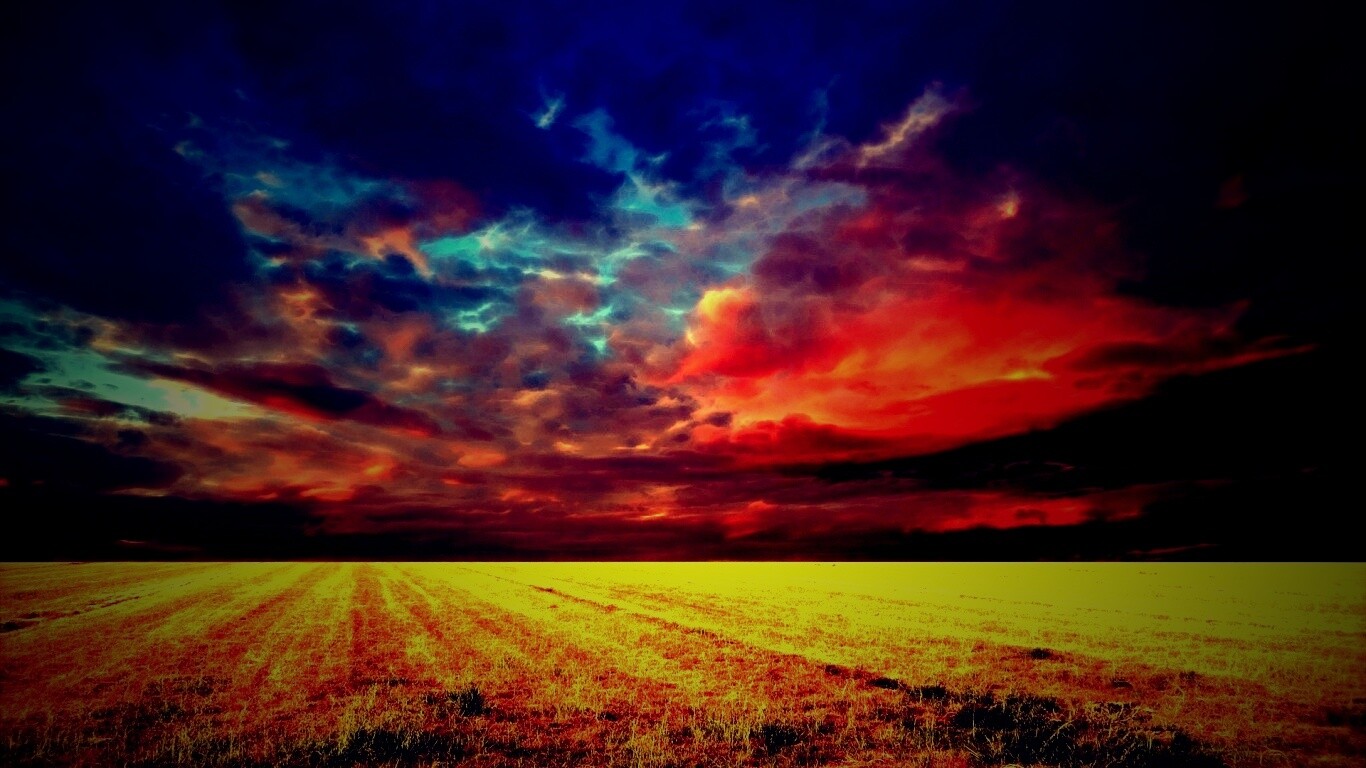 Тучи над желтым полем обои