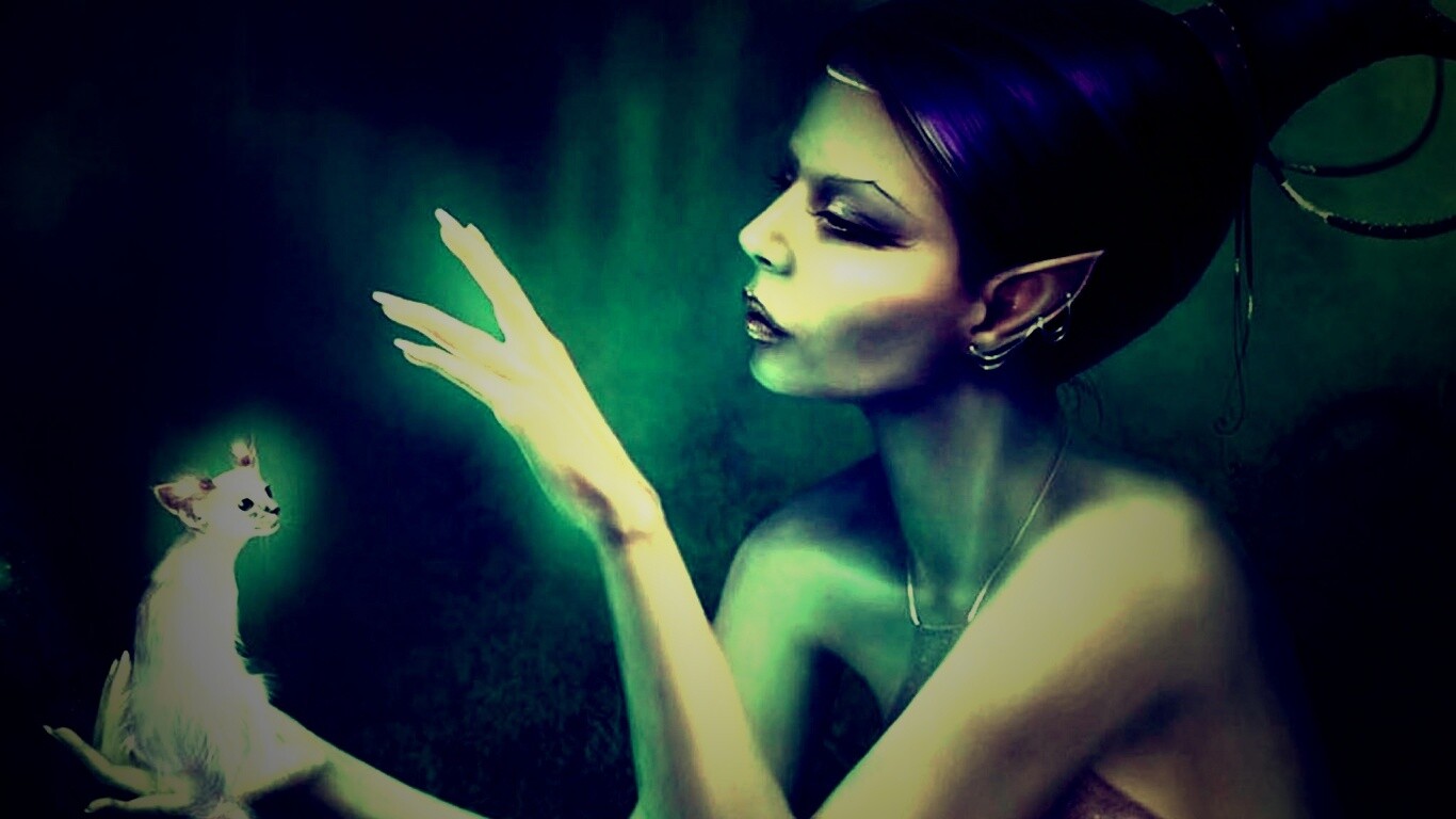 Почет и процветание обои