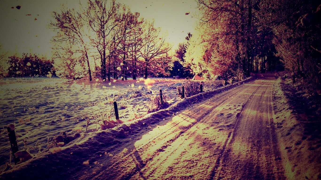 Снежная дорога залитая солнцем обои