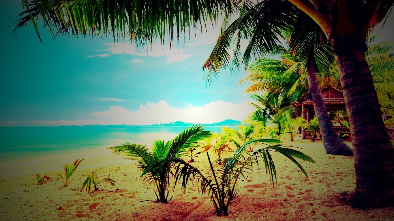 Настоящее лето обои