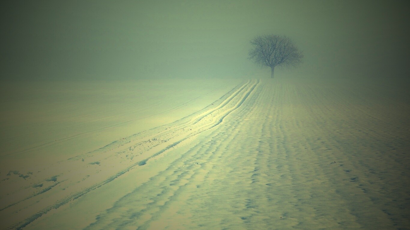 Заснеженное поле обои