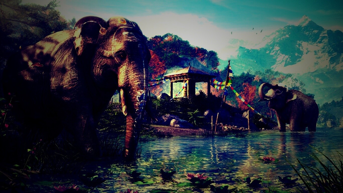 Слоники у воды обои