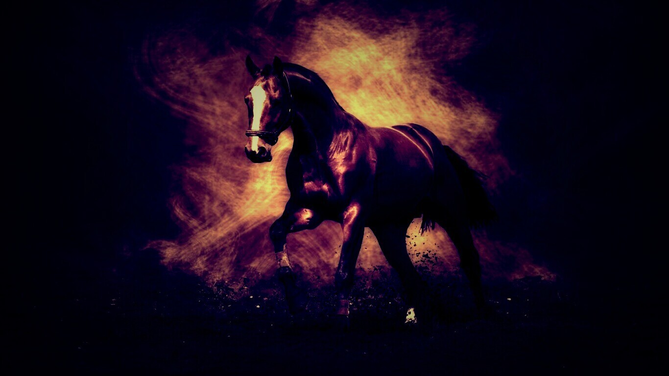 Лошадь обои