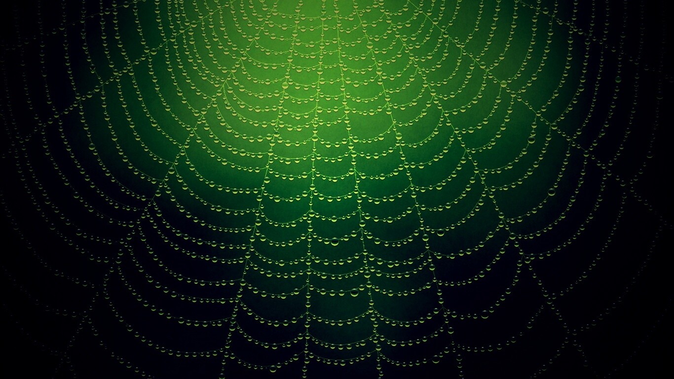 Роса на паутине обои