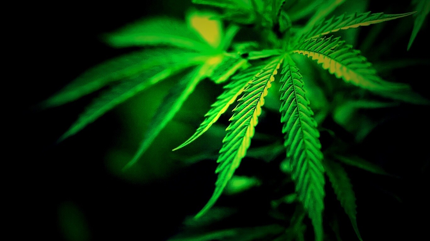 Марихуана обои