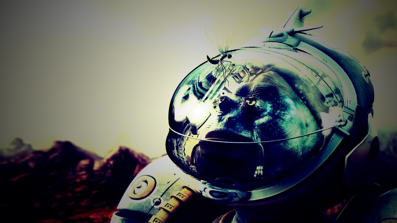 Инопланетянин и стрекоза обои